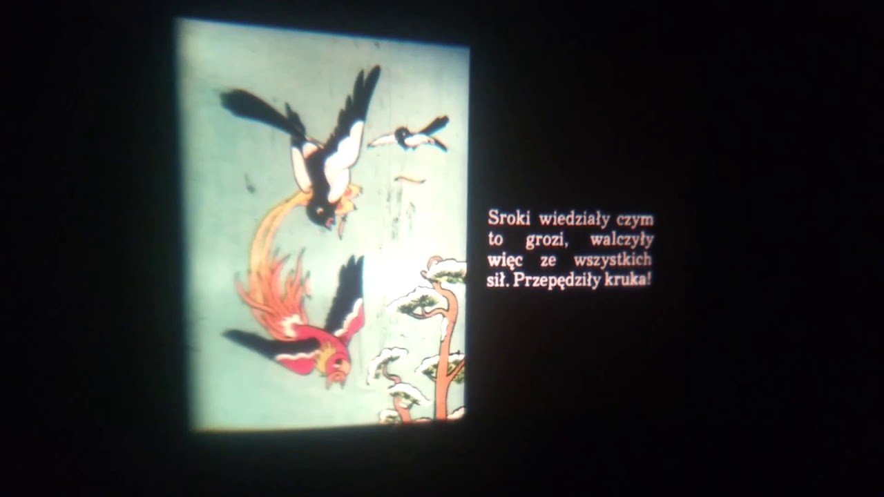 3# Blablanie na ścianie   Dlaczego kruki są czarne