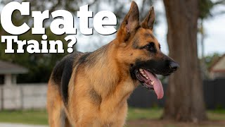 Why should you crate train your dog | Crate Train your German Shepherd