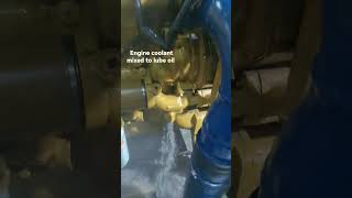 Engine coolant mixed to lube oil |Caterpillar 3406C genset