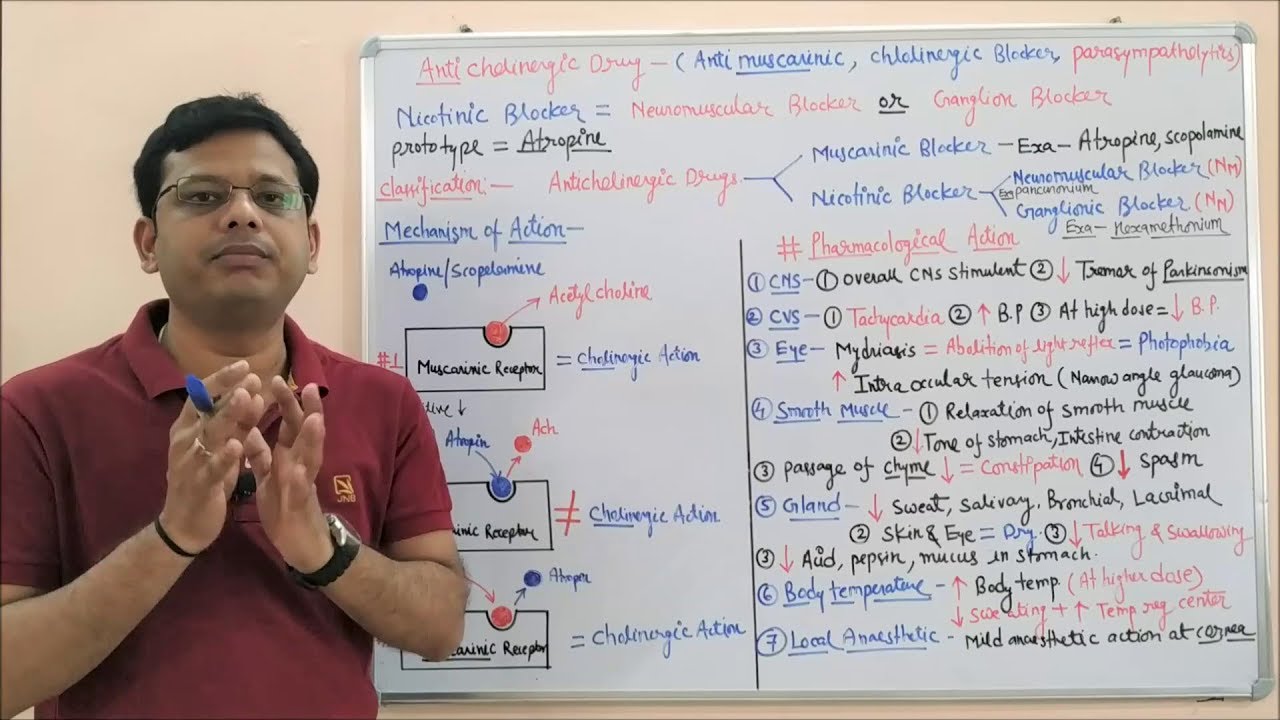 Anticholinergic Drugs I Antimuscarinic Drug | Cholinergic Blocker | Para sympatholytic Drugs (HINDI)