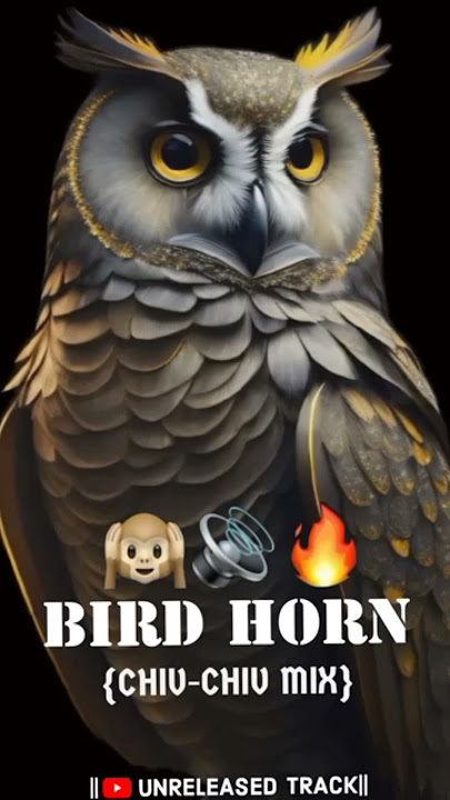📢COMPETITION HORN🙉|BIRD HORN(CHIV-CHIV MIX)|UNRELEASED TRACK|#competition #music#unreleasedsongs