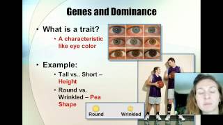 Ch  11 1 Intro to Genetics Notes