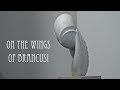 On the Wings of Brancusi - Trailer