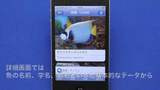 アクアリウムの海水魚図鑑 ATLAS1000種+α　[iPhone/iPod touch向けアプリ]