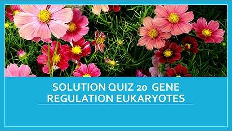 CSIR NET 2022 PYQ Gene Regulation Eukaryotes
