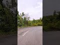 #roadtrip #trip #travel #mountain #nature #mountainview
