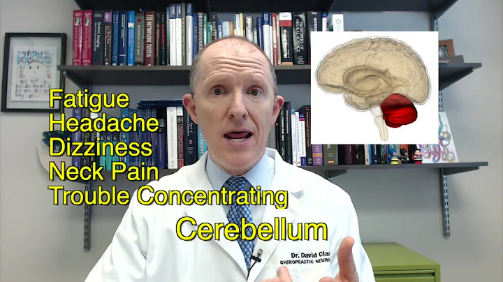 Post Concussion Syndrome-What's wrong with me?