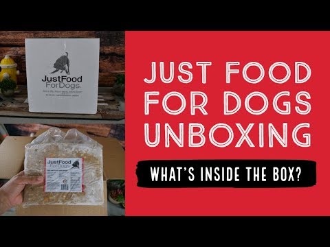 Video: Di dalam Perusahaan: Just Food for Dogs