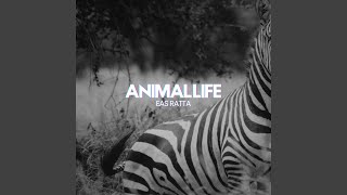 animal life