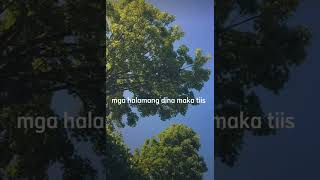 Climate change lyrics pt in ap