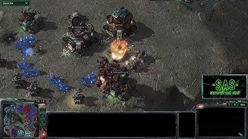 Epic Battle: Mutalisk - Starcraft 2