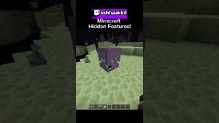 Hidden Features in Minecraft!🤫#minecraft #gaming #secret #fypシ゚viral #fyp #viral #fypage #easteregg
