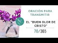 Oración para transmitir  el &quot;buen olor de Cristo&quot;