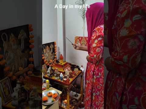 Hanuman Jyanti Mini Vlog ✨🥰 #shorts #vlog #minivlog #shortsfeed #ytshorts