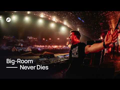 Best Bigroom EDM