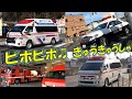 ピポピポきゅうきゅうしゃ⑥🚒🚑🚒　パトカーもあつまれ