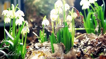 ما تيسر من سورة "الاحزاب" بصوت الشيخ يونس بن حسن .