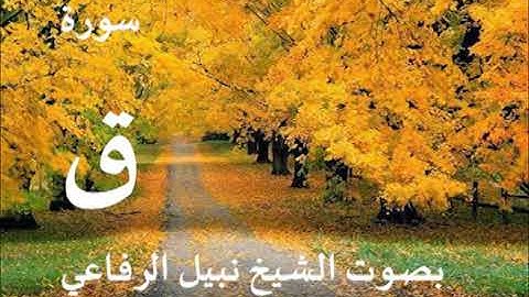 050  سورة ق بصوت الشيخ نبيل الرفاعي