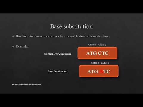 Видео: Разлика между Frameshift Mutation и Point Mutation