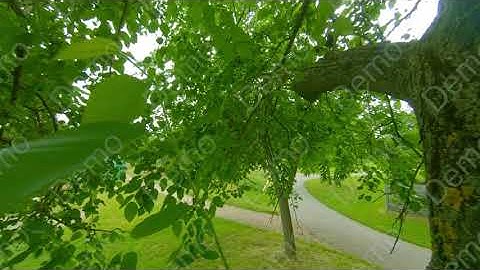 1st time reelsteady with BetaFPV85x