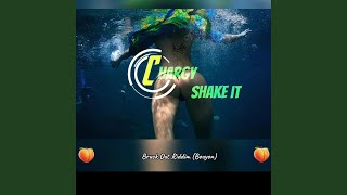 Shake It (Official Audio)