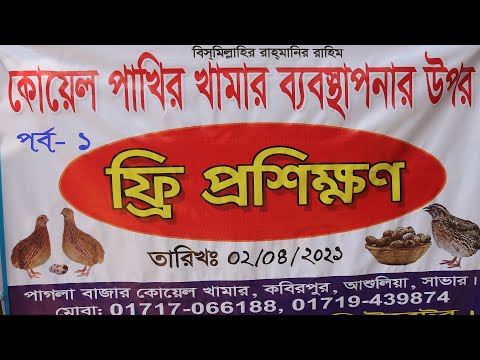 ভিডিও: কাঁধ প্রশিক্ষণ পাখি