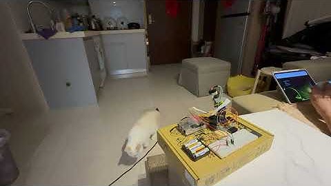 Raspberry Pi Laser Turret - Real-time Web Joystick Control (Manual Mode)