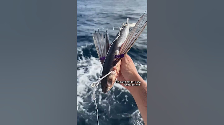 أغرب الطرق لاصطياد سمكة التونة العنيدة   #شراع_طرفاية #fishing #كشتور