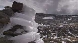 Fatal Blizzard