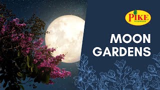 Moon Gardens screenshot 5