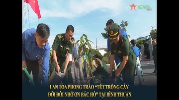 Lan tỏa phong trào “Tết trồng cây đời đời nhớ ơn Bác Hồ” tại Bình Thuận