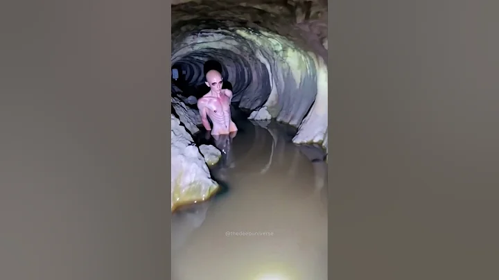 What lurks beneath the surface? #alienencounter #mysteriouscreatures #seacreatures