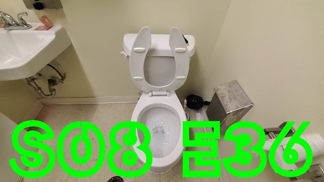379. Dollar Tree Bathrooms - YouTube