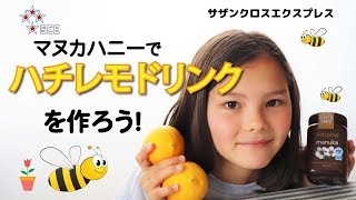Vlog 45 マヌカハニーでハチレモDrinkを作ろう