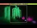 Led Artificial Willow Weeping Tree Light Outdoor Use 3m/9.8ft Height 2304pcs LEDs Rainproof