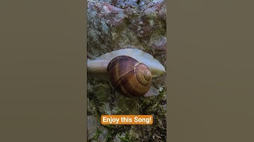 Thumbnail of I Made a Song Just for You - (You)