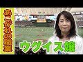#24 あこがれの職業 ウグイス嬢