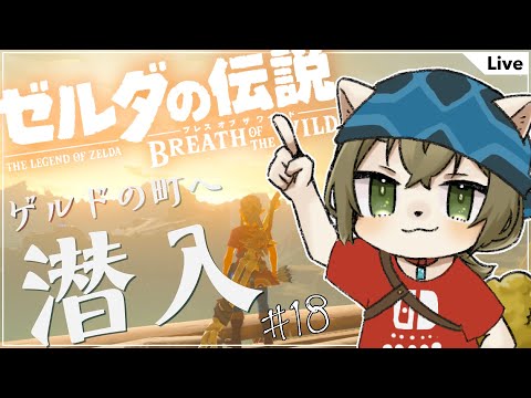 【BotW】いざゲルドの町に潜入#18