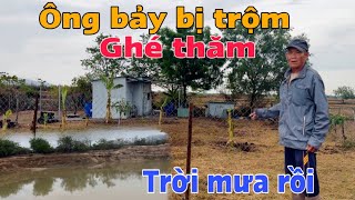 Ông bảy vui mừng đón cơn mưa đầu mùa ,bất ngờ bị Người Lạ đến trộm GÀ / Thanh Vi Từ Thiện