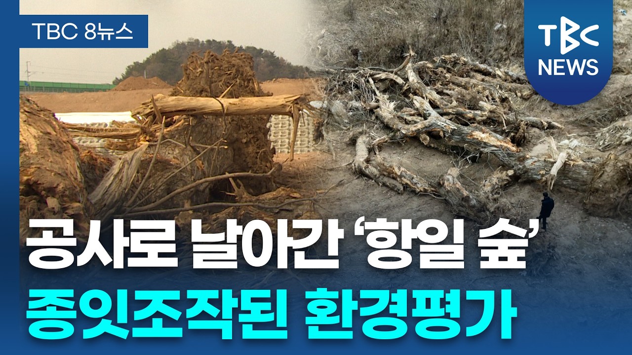 사라진 '항일 숲'... 환경평가는 종잇조각ㅣTBC뉴스