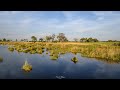 Botswana Safari | Kwando Splash Camp