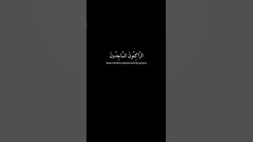 [التائبون العابدون الحامدون..] كرومات قران شاشة- اسلام صبحي - سورة التوبة