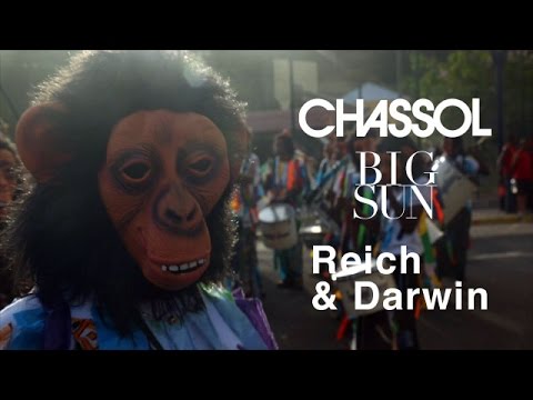 Chassol - Reich & Darwin (Big Sun)