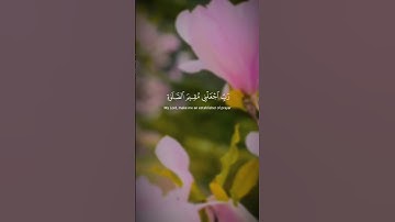 تلاوة خاشعه للقرآن الكريم محمد صديق المنشاوي #quran #اكسبلور #ترند #تلاوة_خاشعة #تيك_توك #قرآن#fyp