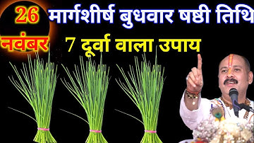 26 नवंबर मार्गशीर्ष बुधवार षष्ठी तिथि के दिन 7 हरा दूर्वा वाला उपाय जरुर करे || Pradeep Ji Mishra