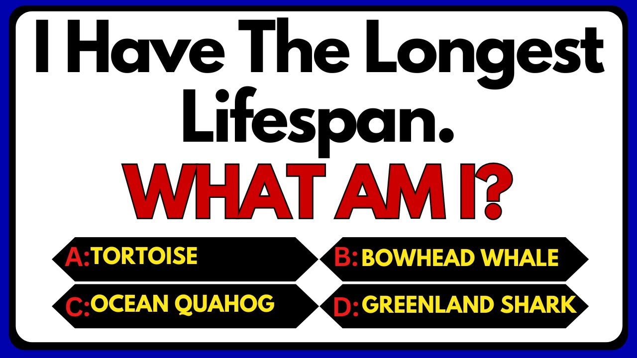 10 MindBending Animal Trivia Questions That Will Stump You! YouTube