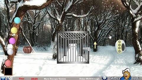 Snow Bear Forest Rescue walkthrough Games2Rule.