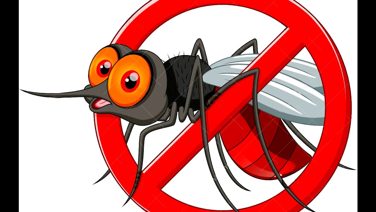 КОМАРИКИ, НЕ ПЕЙТЕ КРОВЬ МОЮ - YouTube