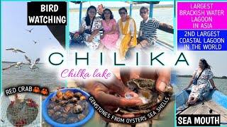 CHILIKA LAKE ODISHA | CHILKA |  চিল্কা হ্ৰদ