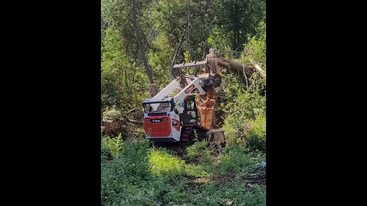 Bobcat T86 With Shearex Mulching Head Demo